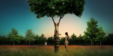 Cees Heijdel | ceesheijdel.nl-