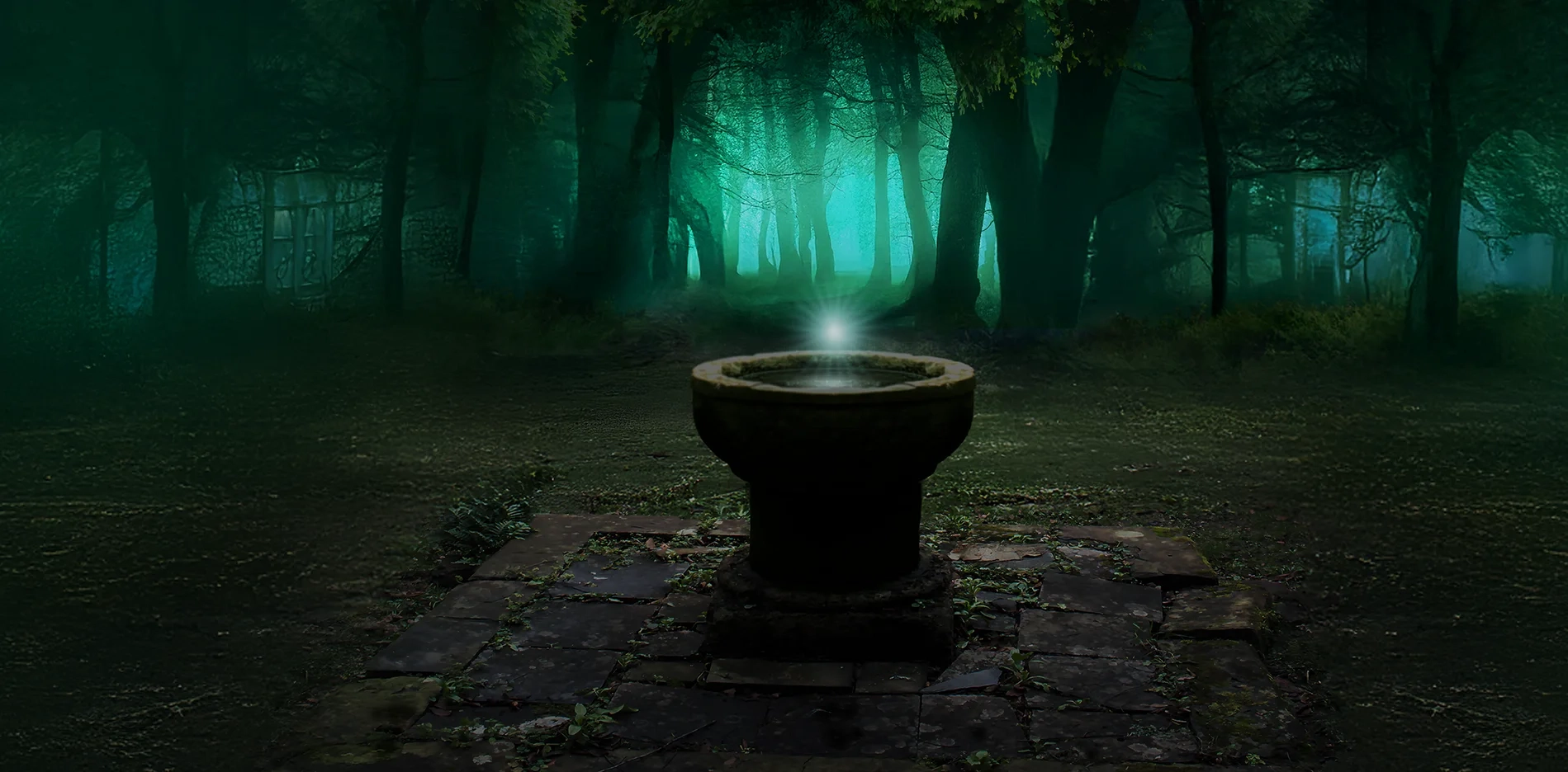 Cees Heijdel | ceesheijdel.nl-Array