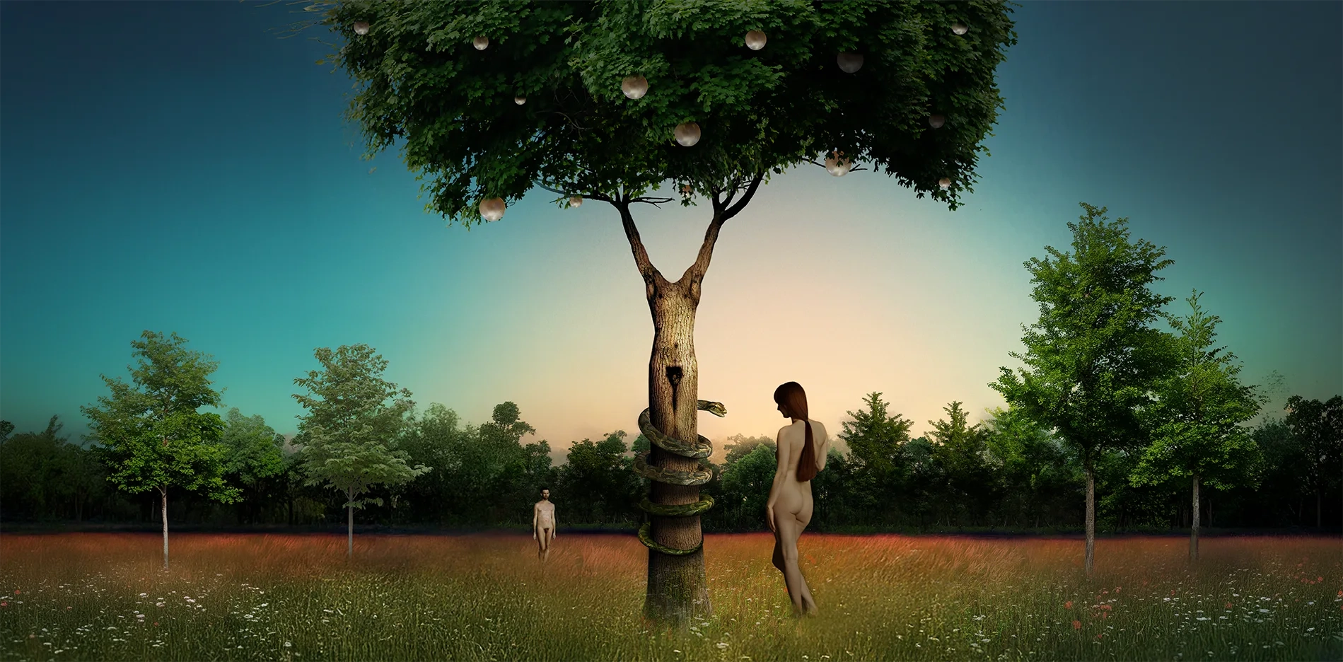 Cees Heijdel | ceesheijdel.nl-